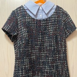 1901 collared dress NWT